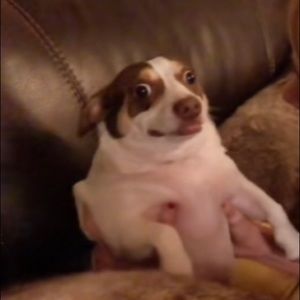 Meet your Posher, Daniella